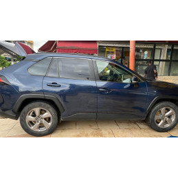 Toyota RAV4 Hybride (2020)