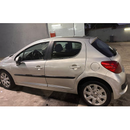 Peugeot 207 (2007)