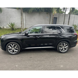 Hyundai Palisade (2020)