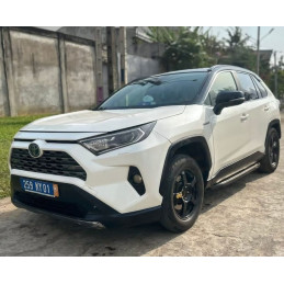 Toyota RAV4 hybride (2019)