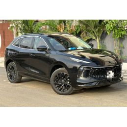 Dongfeng Forthing T5 Evo...