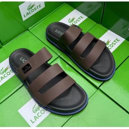 Sandales Lacoste Homme