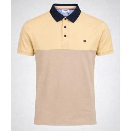 Polo Tommy Hilfiger Homme