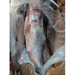 Carton de poisson sosso...