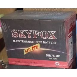 Batterie de voiture Skyfox...