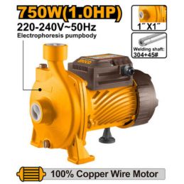Pompe à Eau Centrifuge 750W...