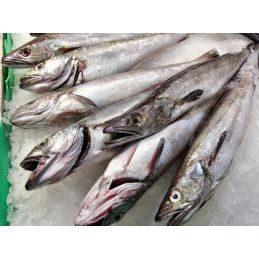 Carton de poisson Merlu...
