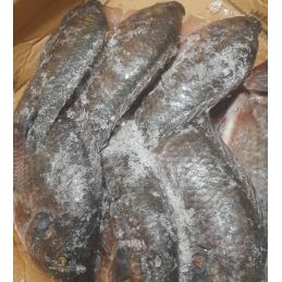 Carton de poisson carpe...