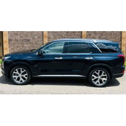 Hyundai Palisade (2020 – 2021)