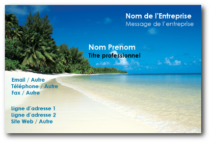 Carte de visite 11