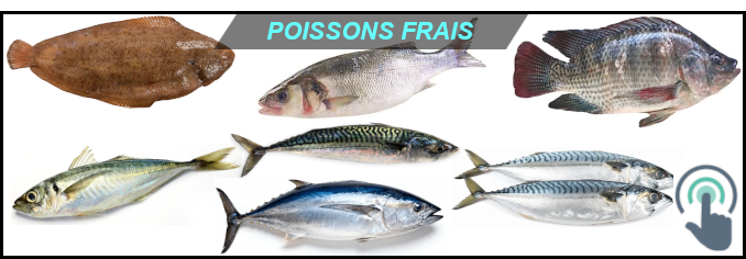 POISSONS FRAIS
