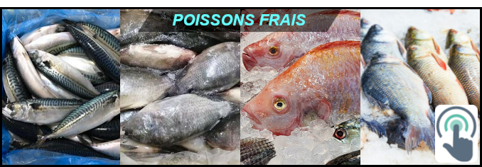 POISSONS FRAIS