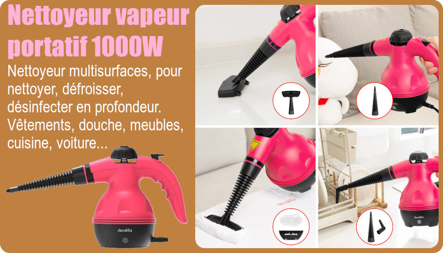 Nettoyeur vapeur portatif 1000W