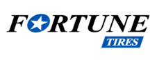 FORTUNE