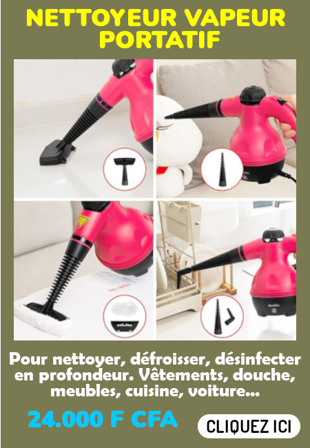 Nettoyeur vapeur portatif